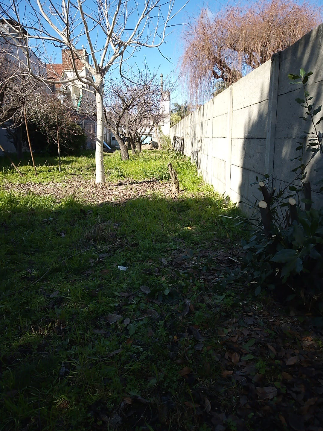 Foto #5